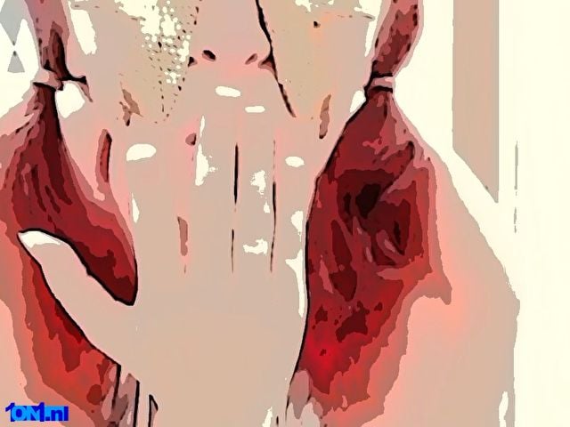 FETISHDOMINA foto 33