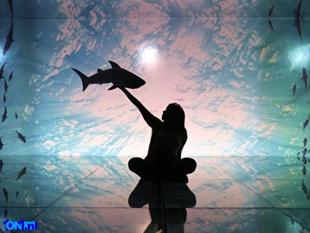 SiennaTaylor foto 19